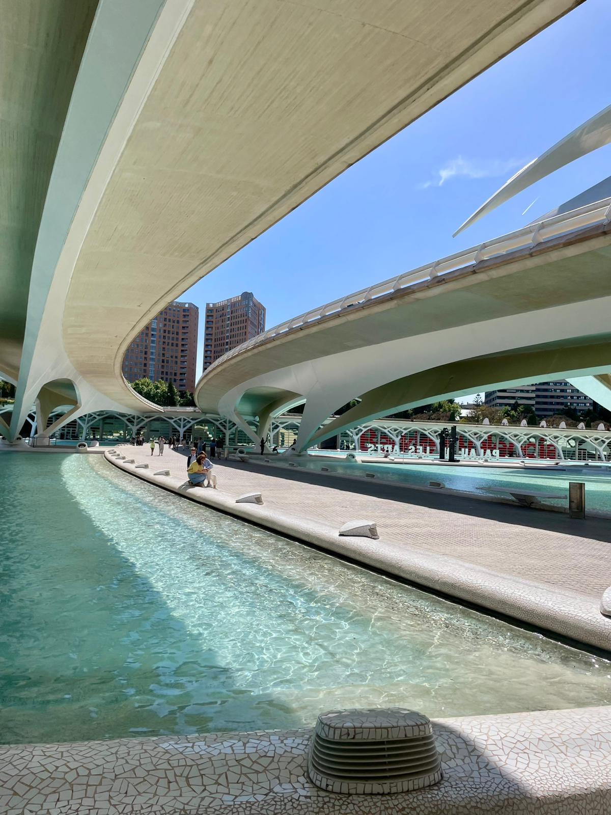Łukowe formy mostów Ciudad de las Artes y las Ciencias